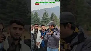 Botanical Garden Beauty in 30 Seconds 🌿 #shorts #ytshorts #travelvlogs #kashmir #vlogs #gardens
