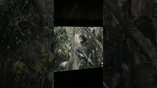 Border 2 movie 🎥 #border #border2 #moviereview #movie #trending #fight #india