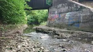 Nature: Stream & graffiti, Roscoe Ewing Park, OH - LS - 22070705 (footage by Anree-Julian, PointTV)