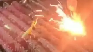 mantis vs machine.