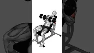 SO trainierst du deine Arme nur mit Kurzhanteln #armtraining #bizeps #trizeps  #trainingstipps