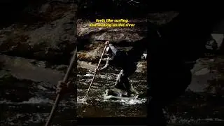 Future of whitewater sup