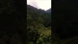 Dharmasthala forest #shortvideo #shortsvideo #shortsviral #shorts #mavurigangamma #malagangamma