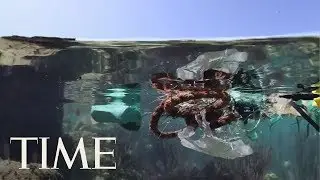 Billions Of Plastic Pieces Are Infecting Coral Reefs With Diseases, Study Shows | TIME