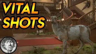 Animal Scoring 2.0 Vital Shots First Hunt [theHunter: Call of the Wild 2020]