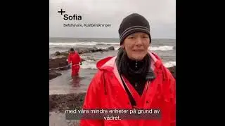 Strandn&auml;ra oljesanering i H&ouml;rvik, Blekinge