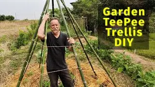 How-to Make a Teepee Trellis for Tomatoes