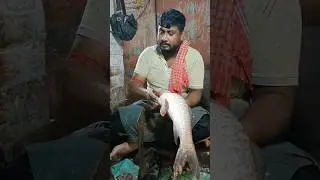 🔥😱 Traditional Perfect Size Rohu Fish Cutting Skills By Expert Fish Cutter #shorts
