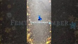Femte december - Marcus jullovskalender
