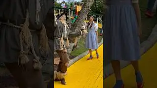 Follow the yellow brick road?#landofoznc #landofoz #wizardofoz #themepark #shortsvideo #vacation