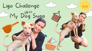 Ligo Challenge With My Dog Suga