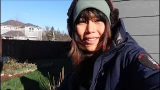 Winter Garden Tour 2023 // Zone 8 PNW Backyard Garden