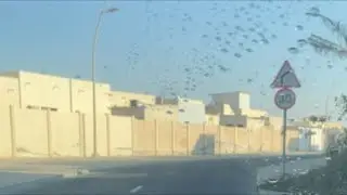 doha qatar
