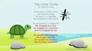 The Little Turtle by Vachel Lindsay | Famous Poem | Poetry to Memorize
