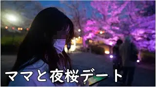 家族で夜桜花見デートして来ました