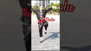 3&ordm; TAOLU Moy f&aacute; #kungfu #shaolin #shaolinkungfu #taolu #artesmarciais