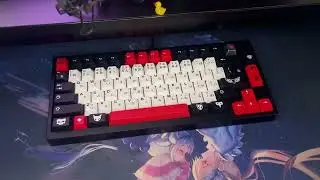 Gok 7V | Black Cherry Pies plateless sound test