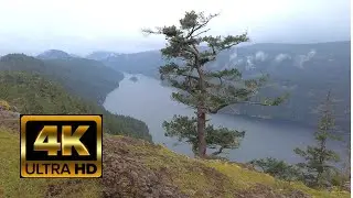 Jocelyn Hill, Gowlland Tod Provincial Park, Sleep sounds, rain sounds