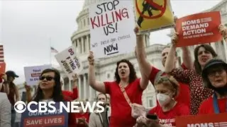 Republican donors boost calls for congressional action on gun control