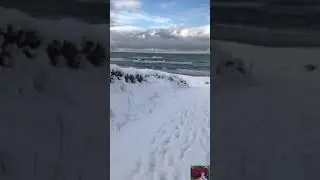 ЗИМА И МОРЕ(ролик брата)