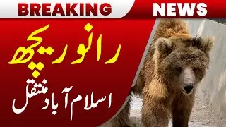 Rano the Bear Shifted to Islamabad | Pakistan News