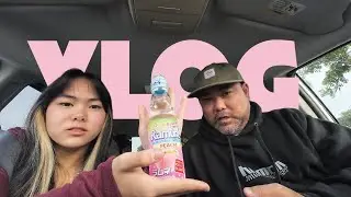 Mitsuwa Japanese Store, BookOff, and a Haul | Vlog 115