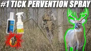 Tick-Proof Your Hunt: Top Prevention Tips for Deer Hunters