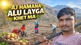 Aj hamna apna khet ma alu laga diya❤️ #halat karab ho gyi aj to
