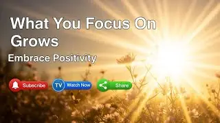What You Focus on Grows