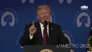 Shawn Mendes, Camila Cabello   Se&ntilde;orita Donald Trump Cover