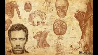 Skeletal system 2: Part 2, Bones and cartilages