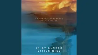 I Am The City
