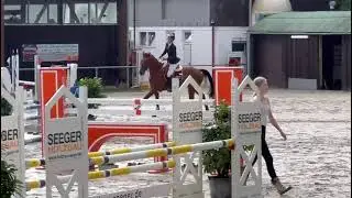 Luna Springpferde A* Mannheim-Friedrichsfeld 2025