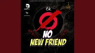 No New Friends