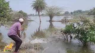 Best Fishing 🎣spot Single Hook to Catching Rohu Fishes unique Fishing 