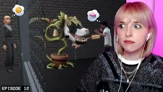 его обманули 😳 (эп. 12)