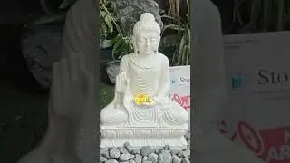 This DIY Zen Garden Setup Instantly Calms Your Space 😮
