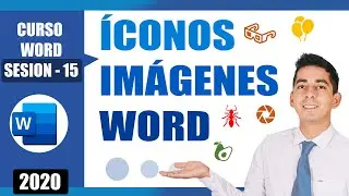 Insertar íconos y imágenes personalizadas en WORD | 15
