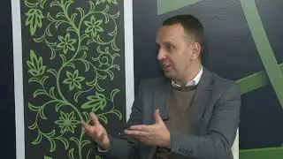 NVO – važan oslonac u edukaciji dece o prevenciji vršnjačkog nasilja