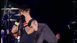 Red Hot Chili Peppers Don't Forget Me Live At Reading Festival