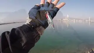 New Micro Jig Field Test Awesome Results! | Shore Jigging
