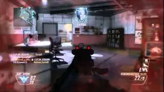 Black Ops 2: Flawless Team Deathmatch Gameplay w/ Dogs (48 Kills)