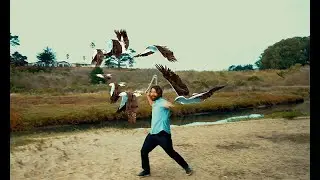 Birdemic 3, Sea Eagle (James Nguyen, EEUU, 2022) - Teaser Trailer HD 1080p.