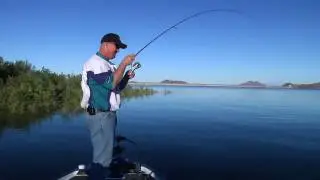 DVL w/Bill Siemantel Part 7: Spro Baby BBZ Double Rig - Tackle Warehouse VLOG #129