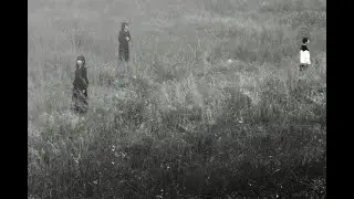 Cissn&eacute; - WILL/straysheep [Japan - Post Black Metal / Skramz Atmospheric]