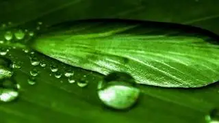 Autotriz Nano Technology- Hydrophobic VS Hydrophilic