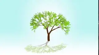 Seed Growing Tree Animation Quote | Protect the Earth