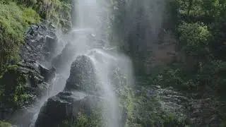 Natural Beauty | River Video | 