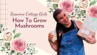 Growing Almond Agaricus Mushrooms Indoors