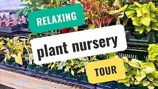 I Accidentally filmed the Entire PLANT NURSERY TOUR in slow motion. 😢😓